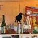 Jordan Crow Photo 34