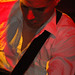 Arthur Singer Photo 28