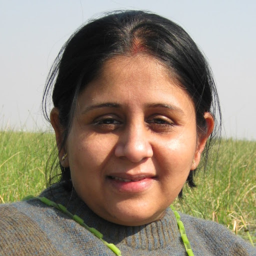 Vaishali Gandhi Photo 15