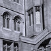 John Manchester Photo 34