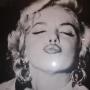 Cathy Matthews Photo 25