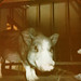 Eric Stander Photo 19