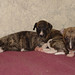 Melba Hogan Photo 15