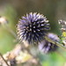 George Hayles Photo 20
