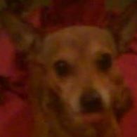 Jesse Nevarez Photo 6