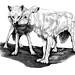 Eileen Wolf Photo 29