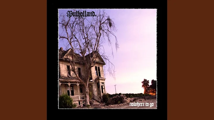Dawn Mulholland Photo 22