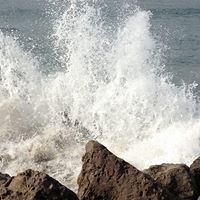 Nancy Hartwell Photo 3