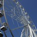 Robin Ferris Photo 32