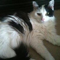 Tracey Jamison Photo 2
