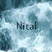 Nital Patel Photo 10