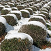 Georgia Hedges Photo 22
