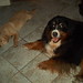 Ginger Riley Photo 32