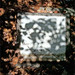 Cyrus Dunbar Photo 11