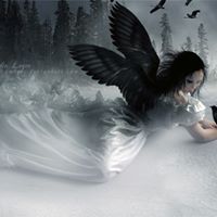 Elisabeth Harper Photo 6
