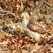 Eric Hawk Photo 35