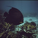 John Few Photo 27