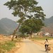 Phong To Photo 26