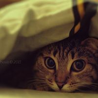 Lilit Sargsyan Photo 4