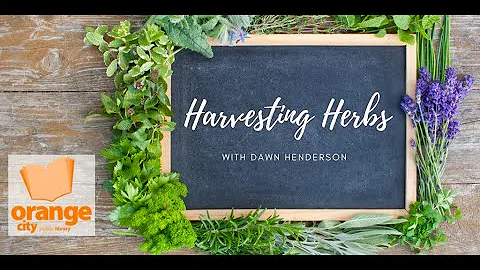 Dawn Henderson Photo 33