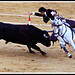 Cesar Ventura Photo 36