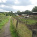 Bonnie Lane Photo 45