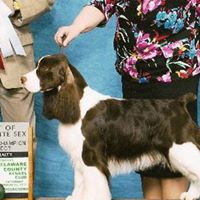 Jane Winkler Photo 5