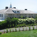 Carolyn Bushe Photo 11