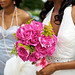 Steve Joslin Photo 28