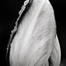 Mark Goff Photo 43