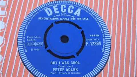 Peter Adler Photo 33