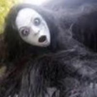 Debra Dean Photo 8