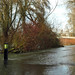 Eugene Flood Photo 22