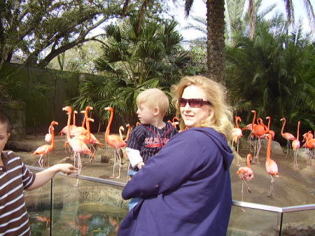 Staci Stephens Photo 14