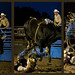 Travis Rank Photo 21