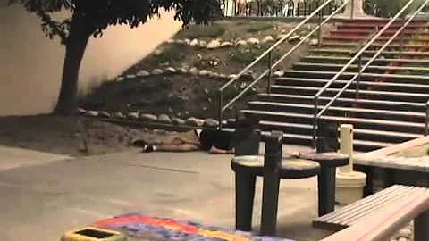 Daniel Kapp Photo 19