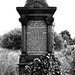 Dorothy Pattison Photo 16