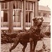 Susan Chalmers Photo 45