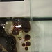 Scott Lindsley Photo 32