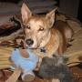 Nancy Dumas Photo 25