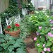 Nancy Reimer Photo 33