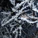 Crystal Proctor Photo 37