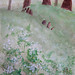Doreen Stone Photo 36