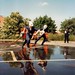 Peter Paine Photo 26