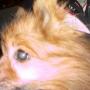 Michelle Bushee Photo 13