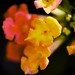 Terry Weed Photo 31