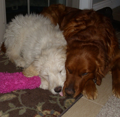 Jill Rowland Photo 9