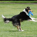 Bryn Davis Photo 22
