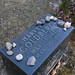 Harvey Goldberg Photo 32
