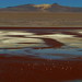 Eduardo Lagunas Photo 24